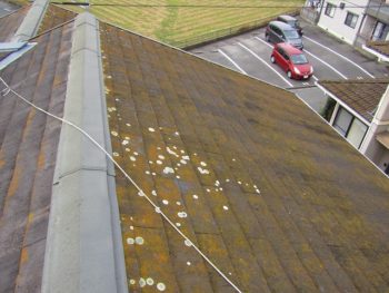 屋根の塗装前　苔が多く発生