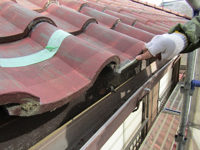 瓦のコケを金属ブラシで取り除く