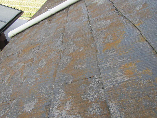 屋根の塗装前　苔