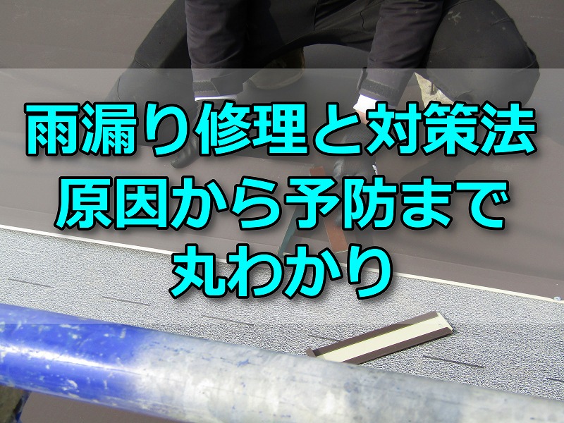 雨漏り修理と対策法、原因から予防まで