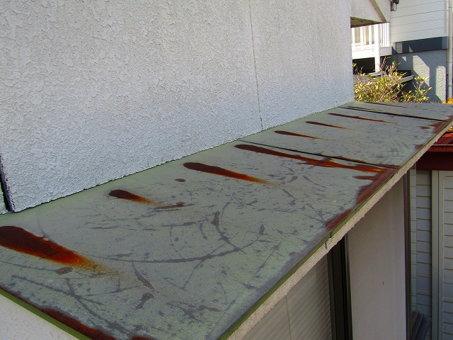 サビが出たひさし