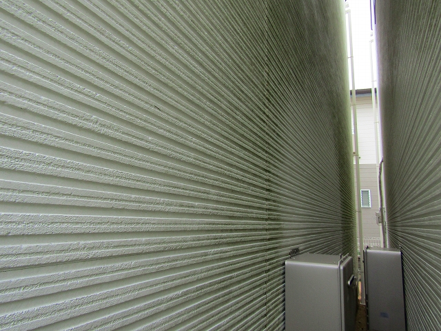 建物と建物の間が狭く、コケやカビが生えやすい