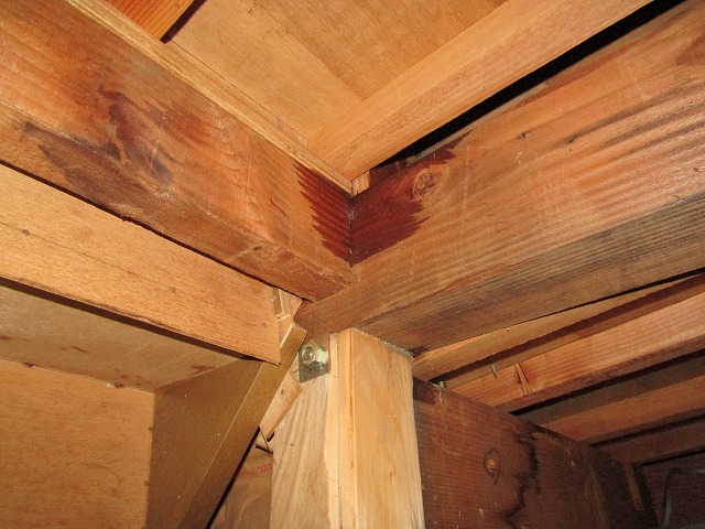 雨漏りの屋根裏調査