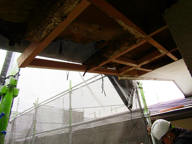 木部が腐っていた