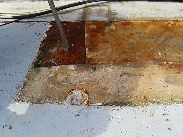 塩ビシートを撤去