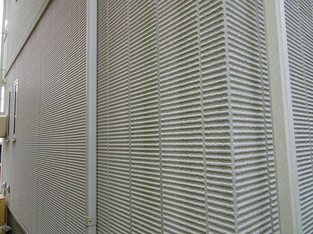 サイディングのコケ