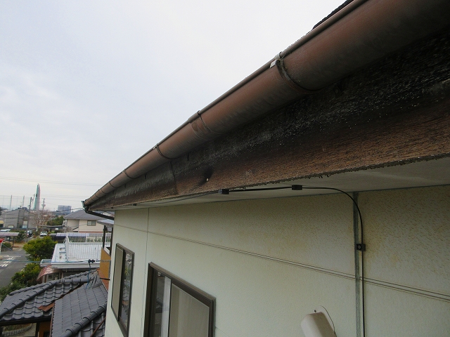 鼻隠し、樋の劣化